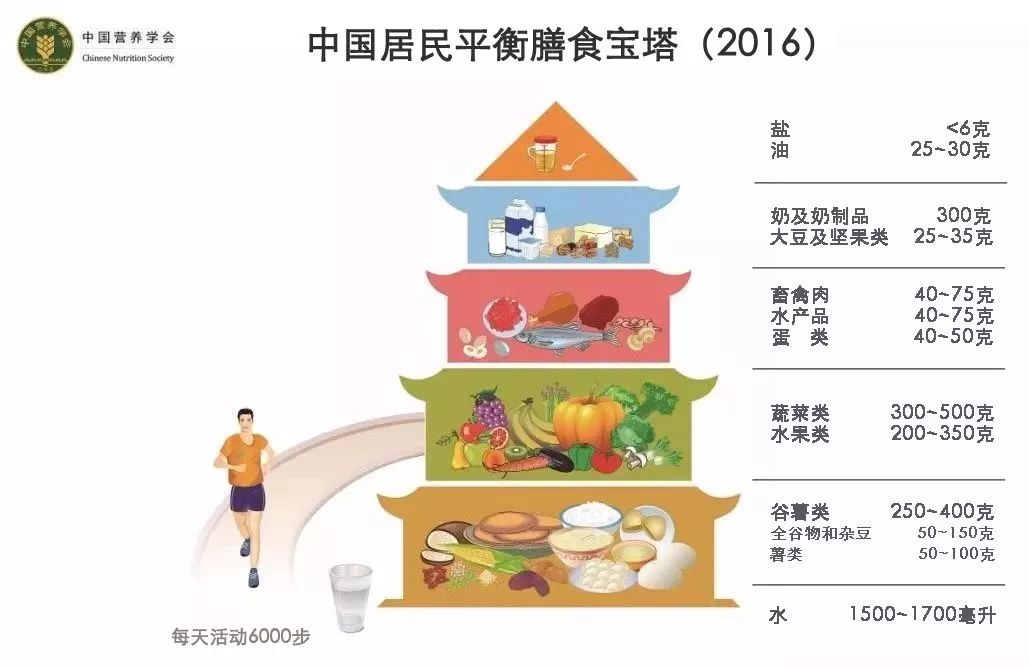 人体日常所需的各类营养素简介︱Joe的美国生活